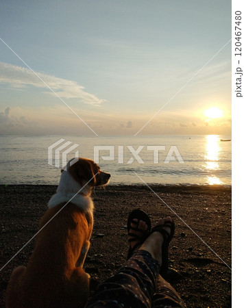 First-person view of feet on the beach with the sunrise over the sea in the background. A dog friend sits next and enjoys the sunset. First-person view of feet on the beach with the sunrise over the sea in the background. A dog friend sits next and enjoys the sunset. 120467480