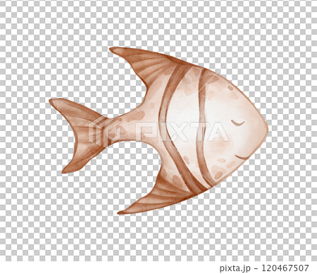 Watercolor of tropical or coral Fish, . Hand drawn illustration of aquarium pet in pastel beige brown colors on isolated background. Drawing of underwater tropical sea animal. Watercolor of tropical or coral Fish, . Hand drawn illustration of aquarium pet in pastel beige brown colors on isolated background. Drawing of underwater tropical sea animal. 120467507