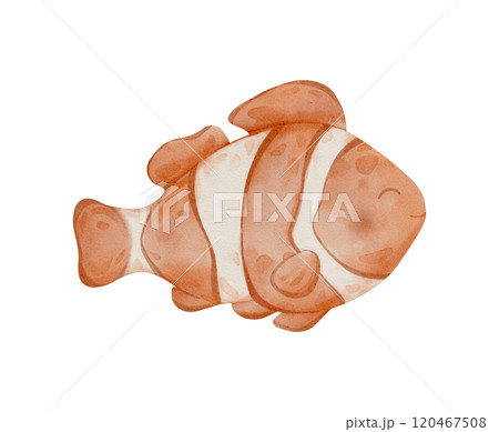 Watercolor clown or nemo Fish, . Hand drawn illustration of aquarium pet in pastel orange brown colors on isolated background. Drawing of underwater tropical sea animal. 120467508