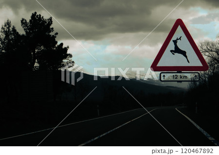 Road sign with deer symbol and asphalt road going away in a distance and snowy mountain peaks. Traveling in winter by car. Dark key travel concept pic Road sign with deer symbol and asphalt road going away in a distance and snowy mountain peaks. Traveling in winter by car. Dark key travel concept pic 120467892