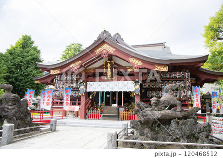 素盞雄神社<東京都荒川区南千住/6月> 素盞雄神社<東京都荒川区南千住/6月> 120468512