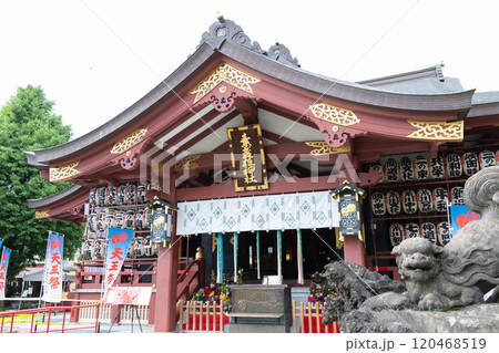 素盞雄神社<東京都荒川区南千住/6月> 素盞雄神社<東京都荒川区南千住/6月> 120468519