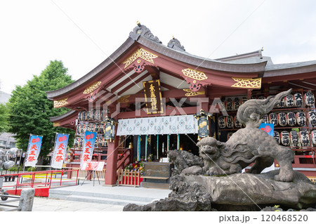 素盞雄神社<東京都荒川区南千住/6月> 素盞雄神社<東京都荒川区南千住/6月> 120468520