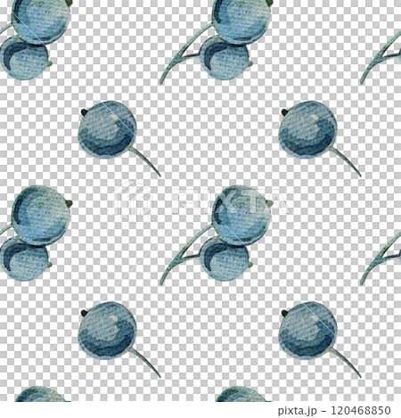 Seamless pattern with watercolor blueberry branches, botanical illustration featuring green leaves and berries. Ideal for natural designs, organic products, decor. Soft, detailed, realistic artwork. Seamless pattern with watercolor blueberry branches, botanical illustration featuring green leaves and berries. Ideal for natural designs, organic products, decor. Soft, detailed, realistic artwork. 120468850