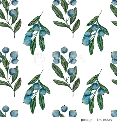 Seamless pattern with watercolor blueberry branches, botanical illustration featuring green leaves and berries. Ideal for natural designs, organic products, decor. Soft, detailed, realistic artwork. Seamless pattern with watercolor blueberry branches, botanical illustration featuring green leaves and berries. Ideal for natural designs, organic products, decor. Soft, detailed, realistic artwork. 120468851
