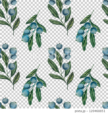 Seamless pattern with watercolor blueberry branches, botanical illustration featuring green leaves and berries. Ideal for natural designs, organic products, decor. Soft, detailed, realistic artwork. Seamless pattern with watercolor blueberry branches, botanical illustration featuring green leaves and berries. Ideal for natural designs, organic products, decor. Soft, detailed, realistic artwork. 120468851