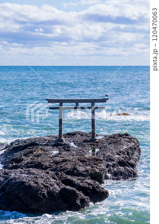 「茨城県」磯前神社の海の鳥居　大洗海岸 120470063