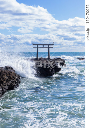 「茨城県」磯前神社の海の鳥居　大洗海岸 120470072