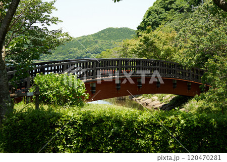 藺牟田池の橋 120470281