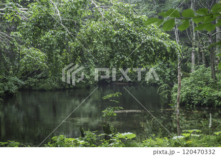 神秘の神の子池 120470332