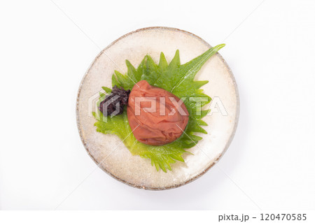 ［和歌山県産］紀州南高梅 120470585