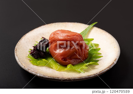 ［和歌山県産］紀州南高梅 120470589