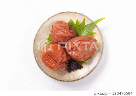 ［和歌山県産］紀州南高梅 120470594