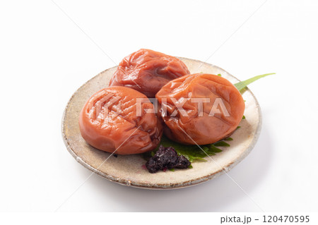 ［和歌山県産］紀州南高梅 120470595