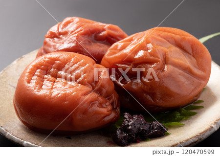 ［和歌山県産］紀州南高梅 120470599