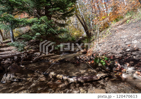 A flowing stream surrounded by fall colors up in Millcreek Canyon, Utah. A flowing stream surrounded by fall colors up in Millcreek Canyon, Utah. 120470613