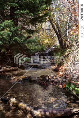 A flowing stream surrounded by fall colors up in Millcreek Canyon, Utah. A flowing stream surrounded by fall colors up in Millcreek Canyon, Utah. 120470616