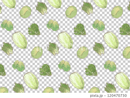 Vegetable seamless pattern hand drawn green illustration_Chrysanthemum, Chinese cabbage, cabbage, lettuce, mizuna_white background 120470730