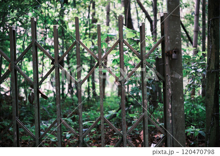 森の中にある鍵がかかった柵 120470798