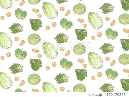 野菜シームレスパターン手描きイラスト＿じゃがいも・春菊・白菜・きゃべつ・サンチュ・水菜＿白背景 120470823