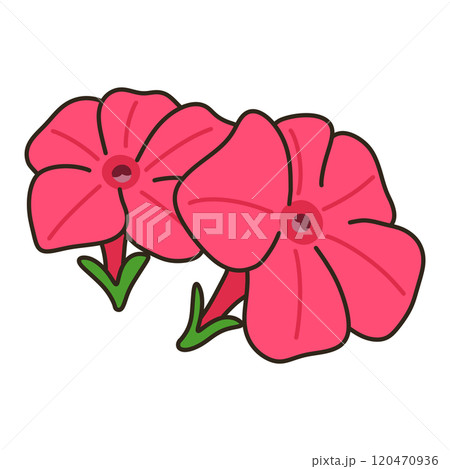 ペチュニア 120470936