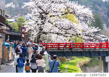 240415春の高山祭イラスト5m093 240415春の高山祭イラスト5m093 120471033