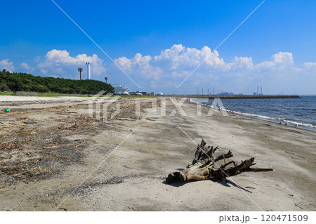 【千葉県千葉市】稲毛海岸の青空風景 120471509