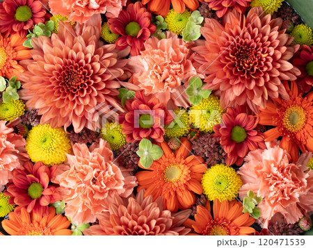 カラフルなフローティングフラワー カラフルなフローティングフラワー 120471539