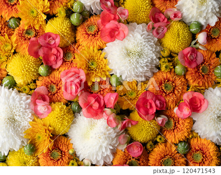 カラフルなフローティングフラワー 120471543