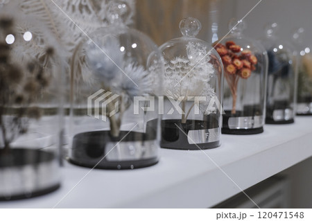ビンに入ったドライフラワーの展示 ビンに入ったドライフラワーの展示 120471548
