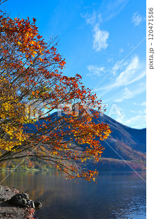 赤城大沼 湖畔からの眺め 秋色の風景 赤城大沼 湖畔からの眺め 秋色の風景 120471586