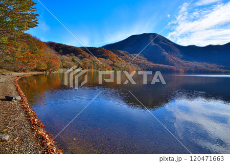 紅葉の赤城大沼　湖畔からの眺め　秋色の風景 120471663