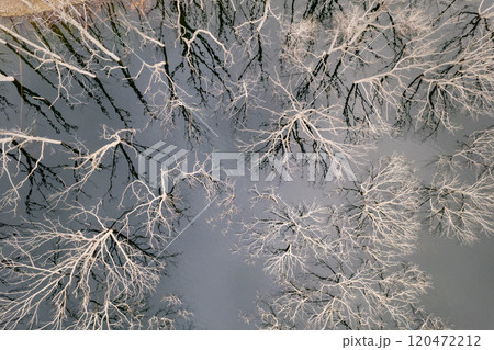 湯西川湖の紅葉と立ち枯れの木 湯西川湖の紅葉と立ち枯れの木 120472212