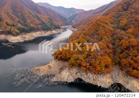 湯西川湖の紅葉と立ち枯れの木 湯西川湖の紅葉と立ち枯れの木 120472214