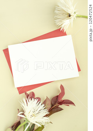 Flower and card mock-up Flower and card mock-up 120472524