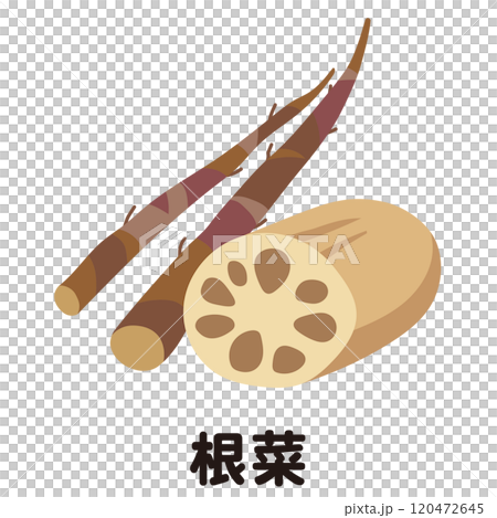 根莖類蔬菜：蓮藕、牛蒡 120472645