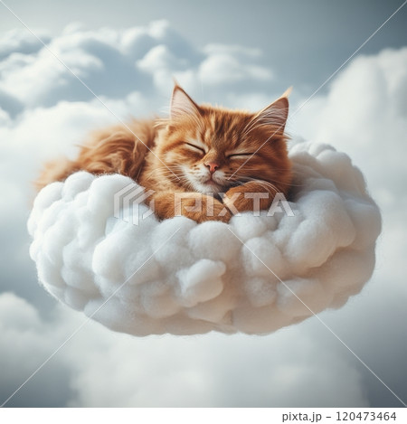 A cat is sleeping in a fluffy cloud 120473464