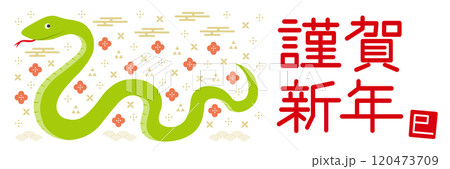 蛇と和柄のイラストの年賀状_HAPPY NEW YEAR_横長_白 120473709