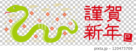 蛇と和柄のイラストの年賀状_HAPPY NEW YEAR_横長_白 120473709