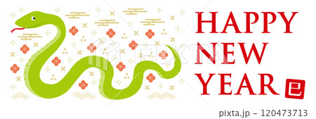 蛇と和柄のイラストの年賀状_HAPPY NEW YEAR_横長_白 120473713