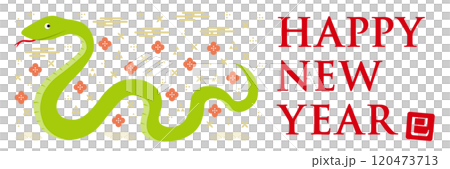 蛇と和柄のイラストの年賀状_HAPPY NEW YEAR_横長_白 120473713