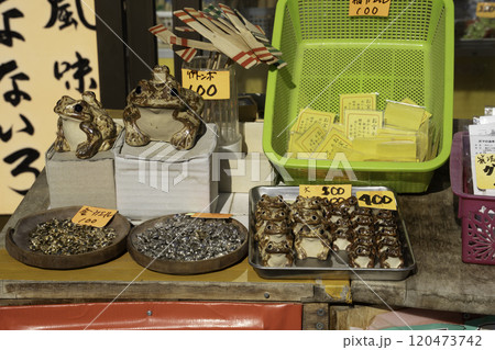 筑波山のガマガエルの置き物たち 120473742