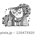 エキゾチック猫 120473920