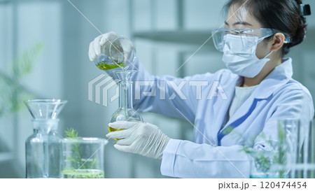 A front view of a female scientist pouring a tea tree liquid into an erlenmeyer. Modern laboratory background, including fully equipped, including a beaker, funnel, test tube, and yellow substance. 120474454