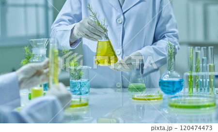 Template image shows the background of a Melaleuca experiment, with a scientist holding and examining a yellow solution in a test tube while another shakes a tea tree solution in a flask. 120474473