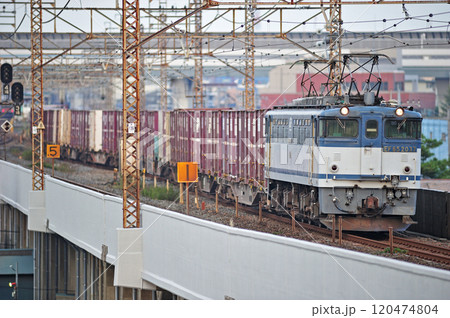 武蔵野線 西浦和ー北朝霞 JR貨物 EF65-2017(新鶴見) 武蔵野線 西浦和ー北朝霞 JR貨物 EF65-2017(新鶴見) 120474804