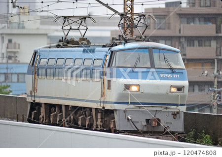 武蔵野線 西浦和ー北朝霞 JR貨物 EF66-111(吹田) 武蔵野線 西浦和ー北朝霞 JR貨物 EF66-111(吹田) 120474808