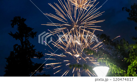 Sumidagawa Fireworks Festival 2024 in Tokyo Sumidagawa Fireworks Festival 2024 in Tokyo 120474817
