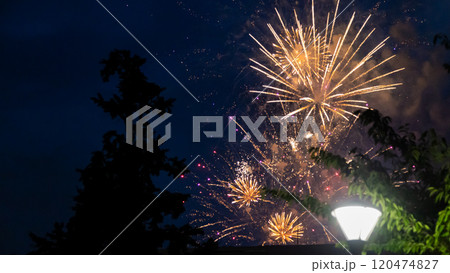 Sumidagawa Fireworks Festival 2024 in Tokyo Sumidagawa Fireworks Festival 2024 in Tokyo 120474827