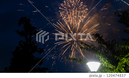 Sumidagawa Fireworks Festival 2024 in Tokyo Sumidagawa Fireworks Festival 2024 in Tokyo 120474837